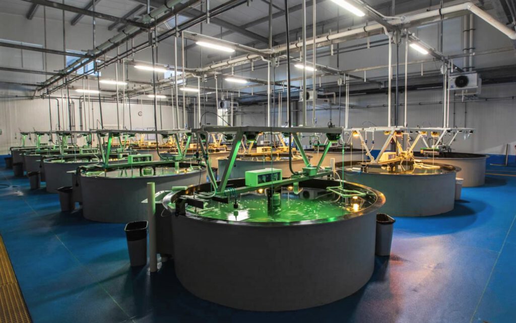 Aquaculture